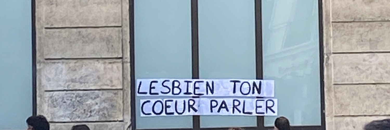 bikini switch banner