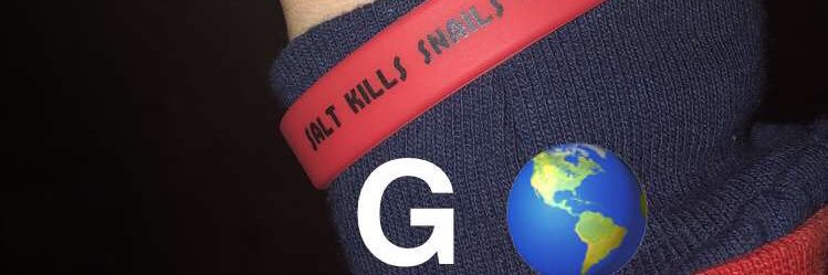 kanoa 🇵🇷 banner