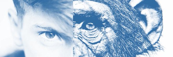 CompMindsRG Profile Banner