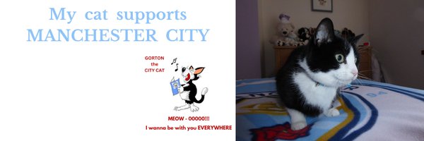 Gorton the City Cat Profile Banner