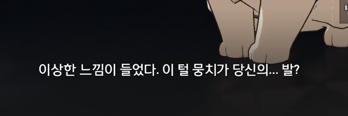 냐니 banner