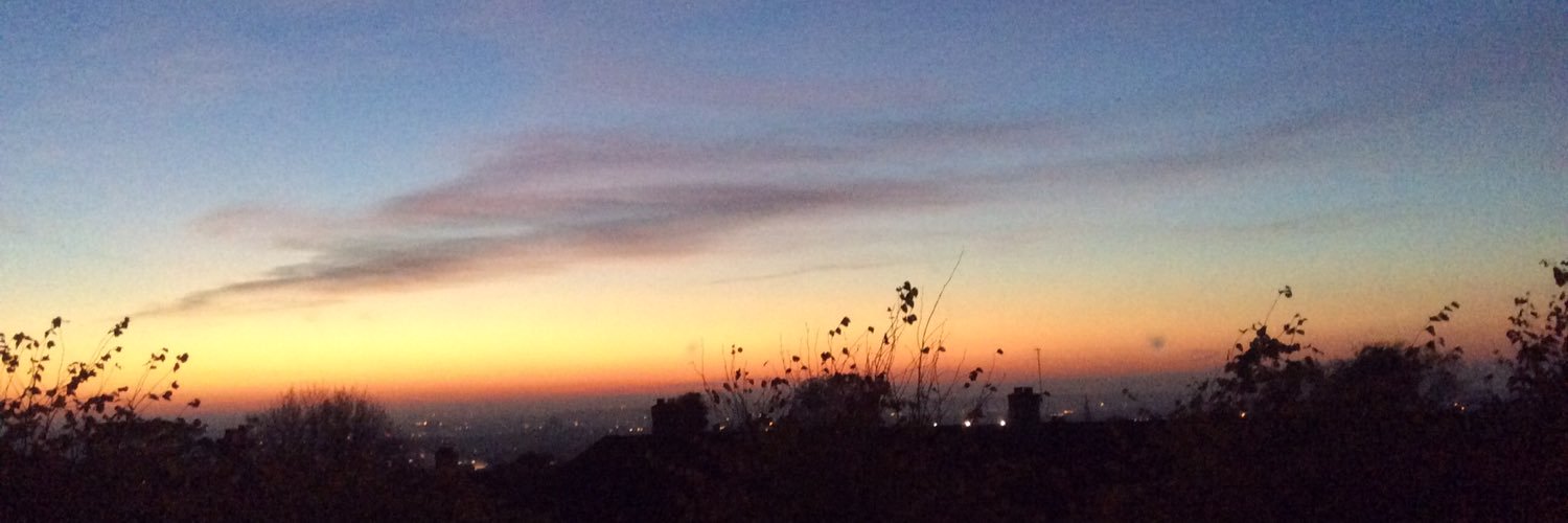 Erica McAlpine banner