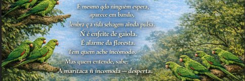 🌍 OminiX 💙 banner