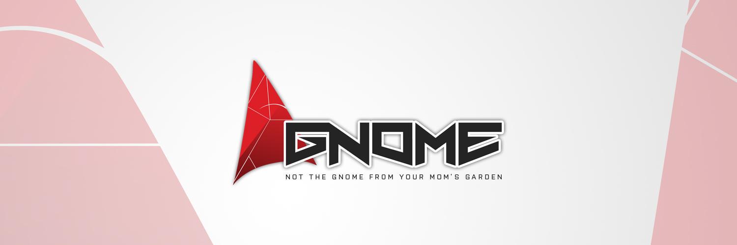 TH3GNOME's profile banner image