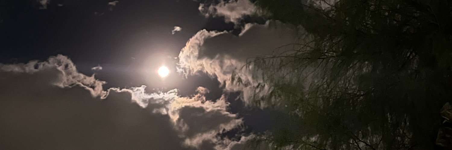 vicofailla's profile banner image