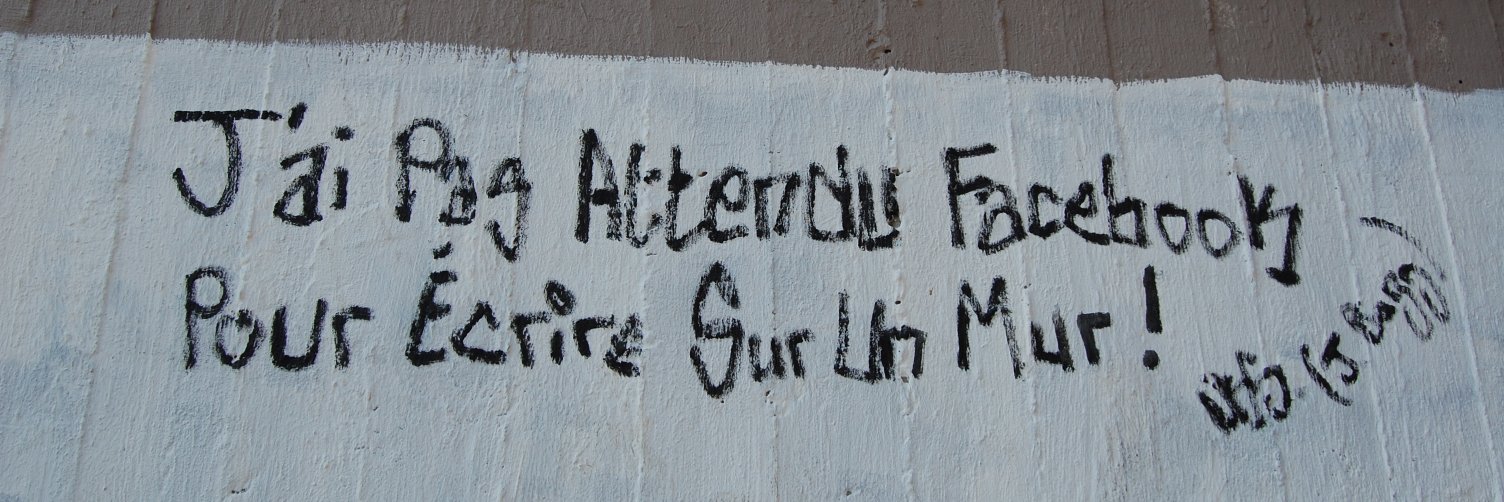 Anna Dall banner