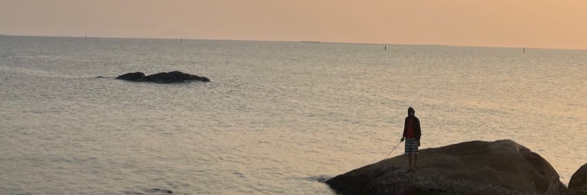 SS banner