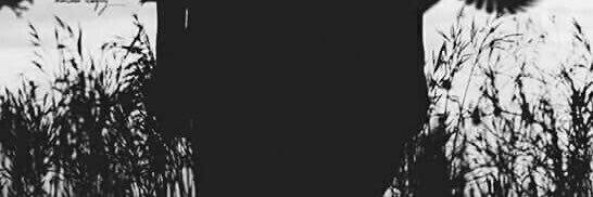 ex_506's profile banner image