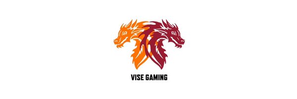 ViSe Gaming Profile Banner