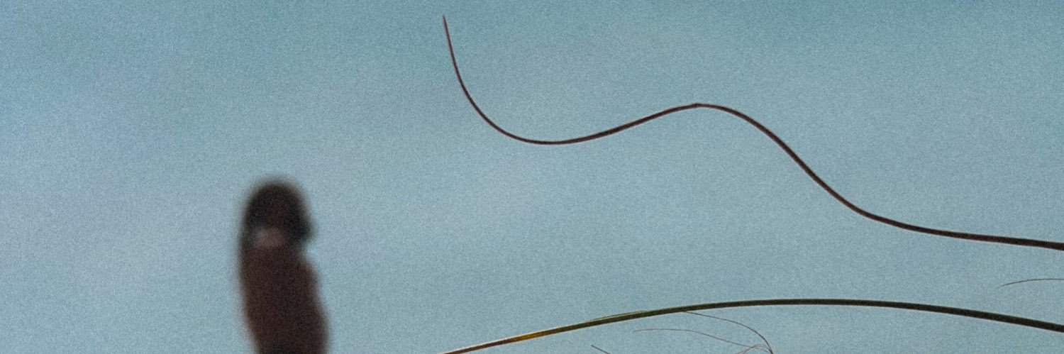 kingmaxdamage's profile banner image