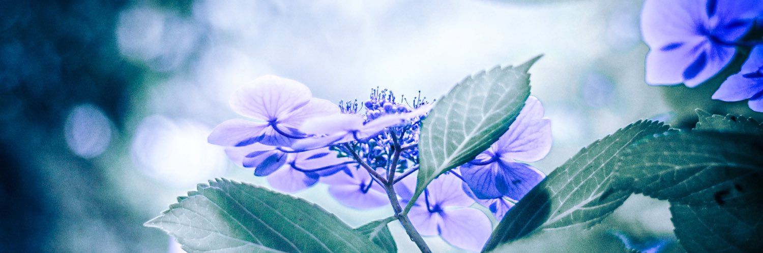ebpr_'s profile banner image