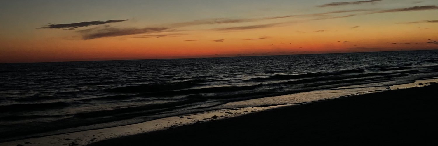 SarahCastellana's profile banner image