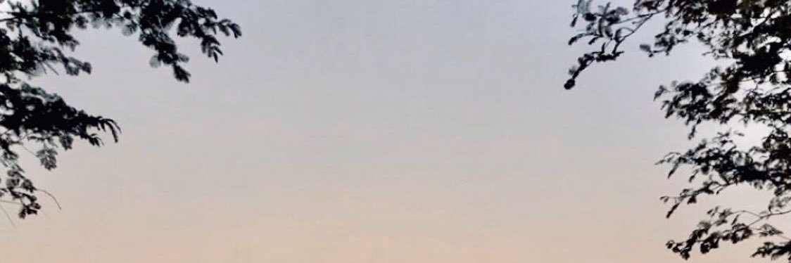 Uscc_ banner