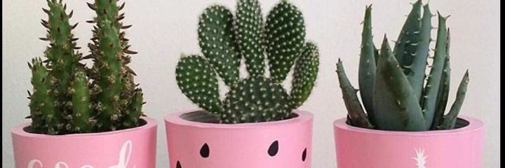 annisaparinduri's profile banner image