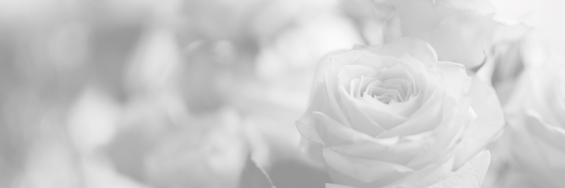 DotInkDesigns's profile banner image