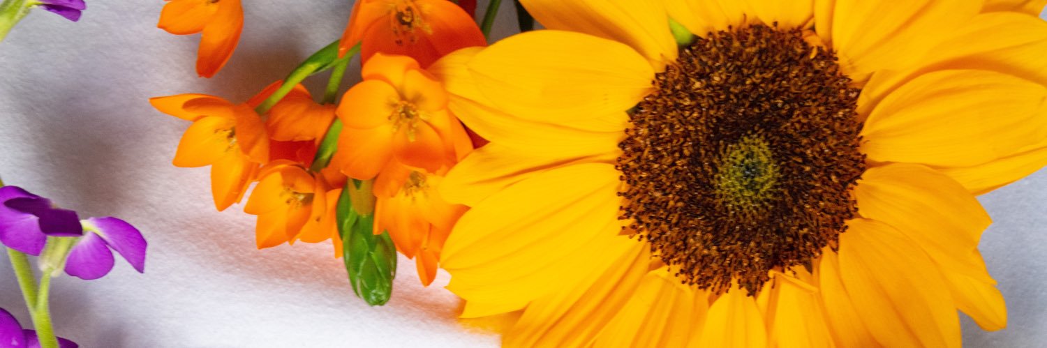 stefiwithlove's profile banner image