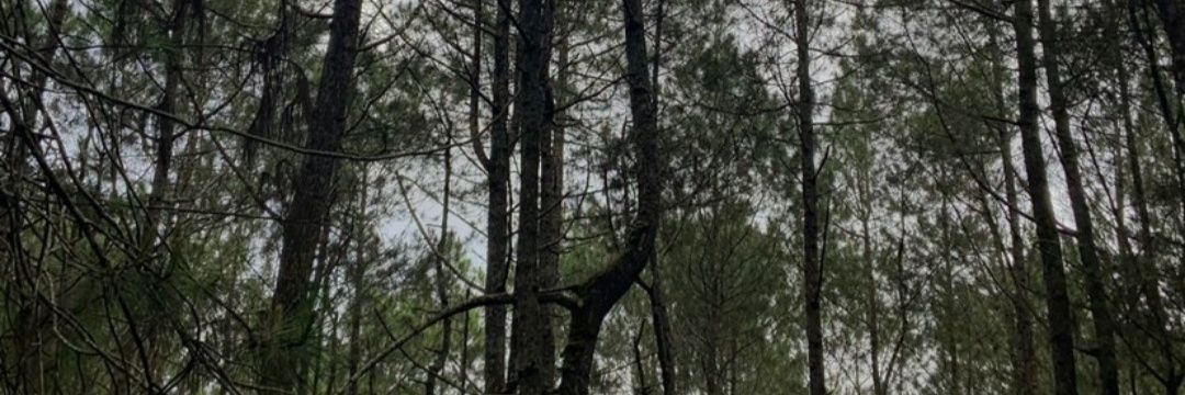 favurbae7's profile banner image