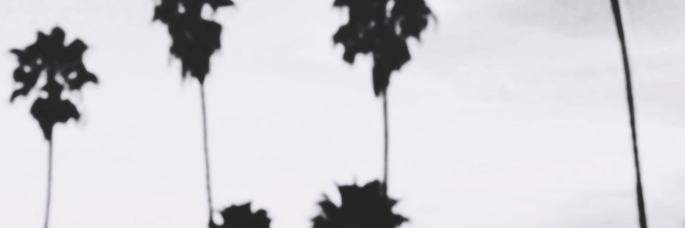 kattmrojas's profile banner image