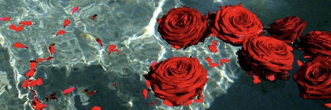 __trinityg's profile banner image