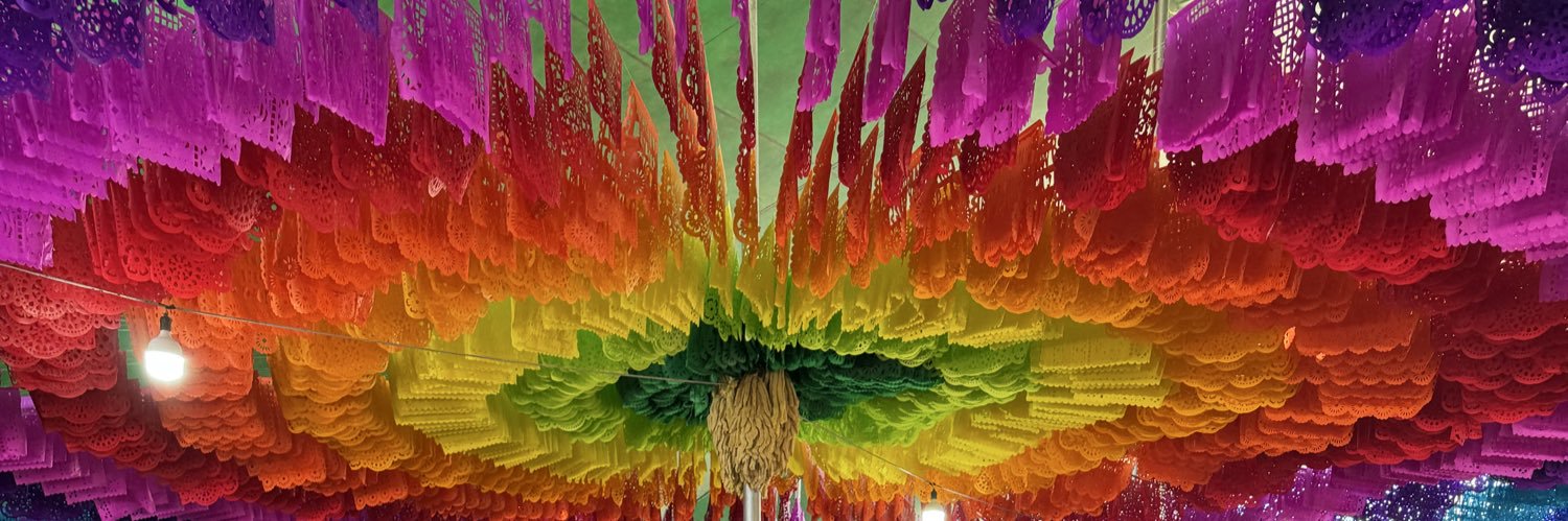 Maria Luisa Matus banner