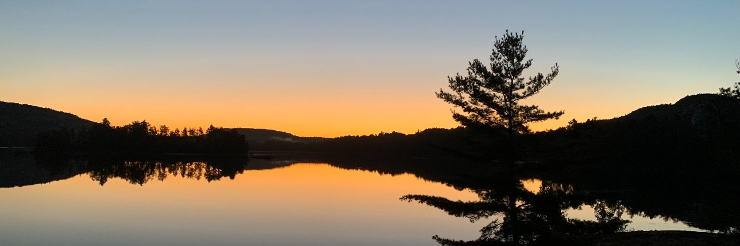 MSomervilleXI's profile banner image