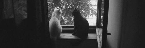 grace___zy Profile Banner