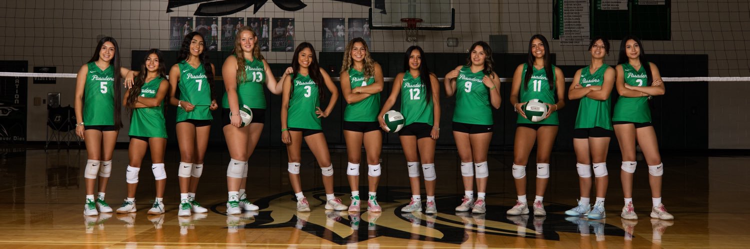 PHS Eagle Volleyball banner