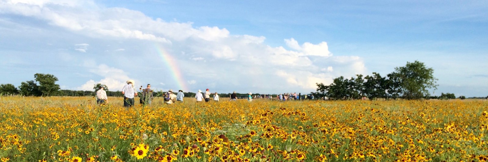 Texas Prairies banner