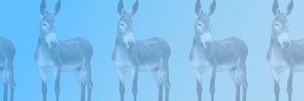 Heather4Dems Profile Banner