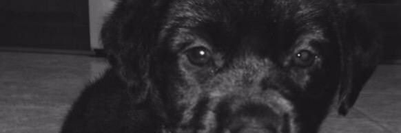 JustoZara's profile banner image