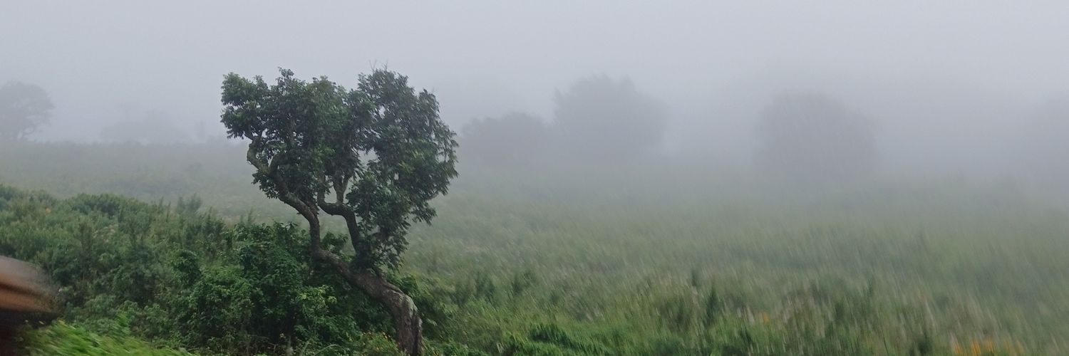 Sankorie's profile banner image