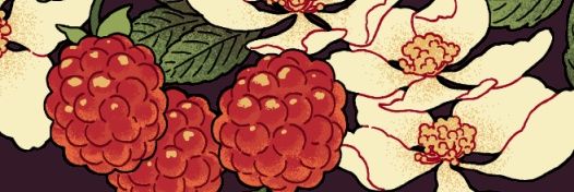 FiammaDL's profile banner image