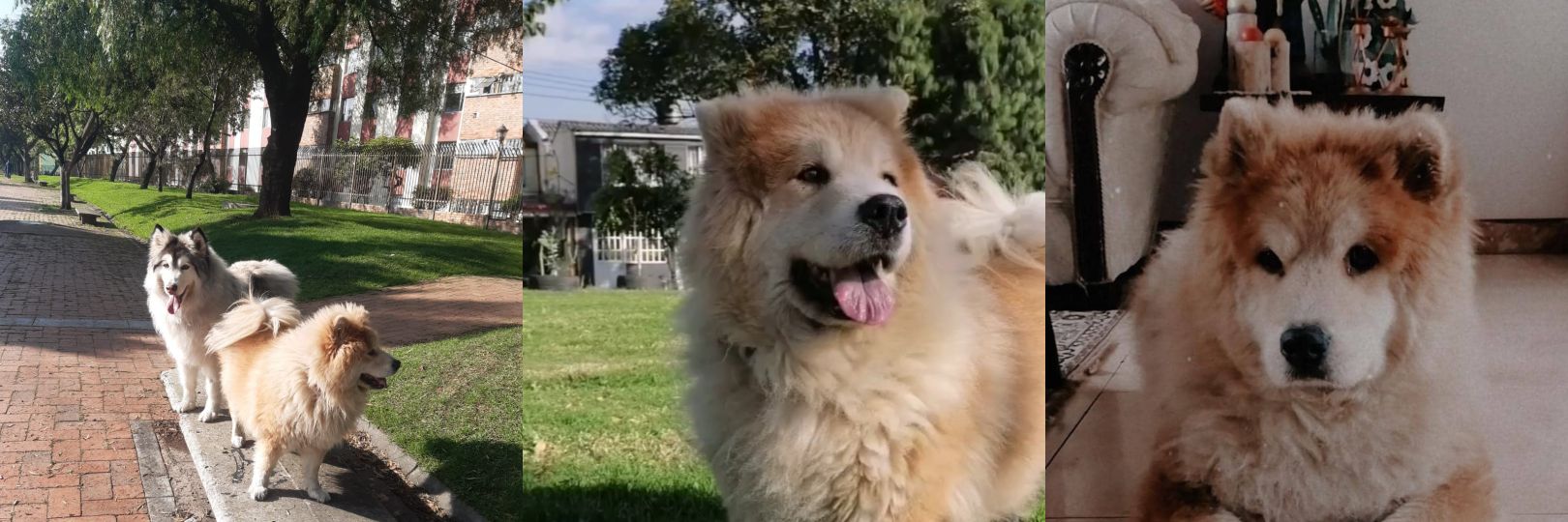 Alejandra.🦋 banner