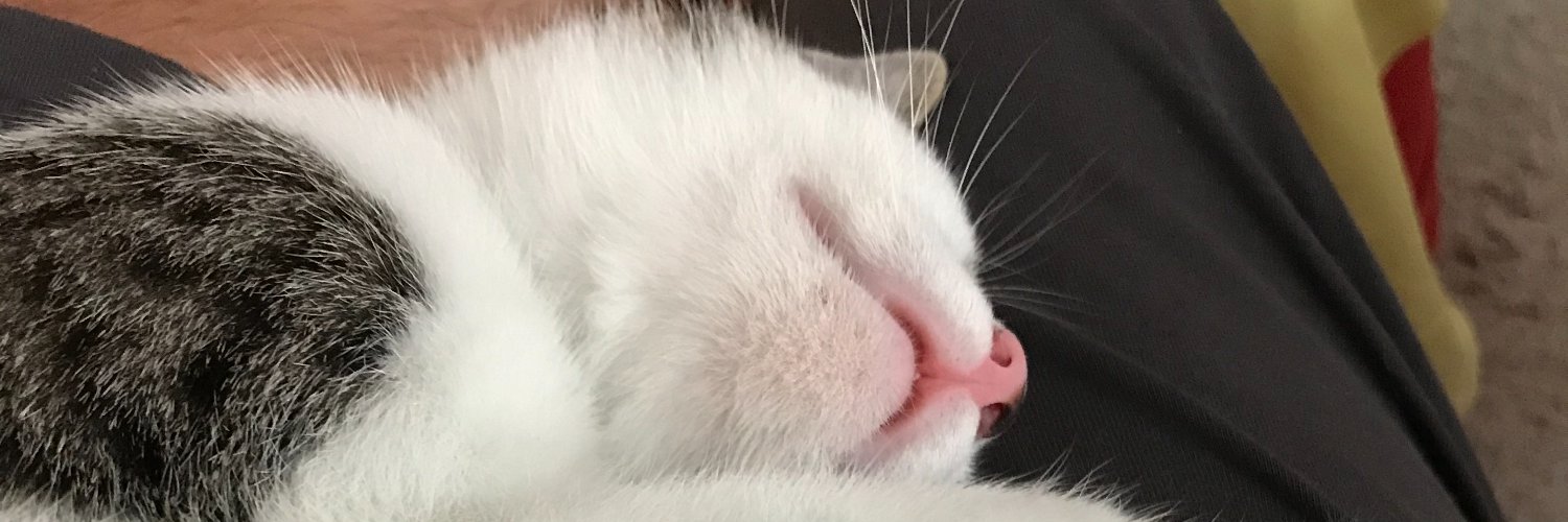 osaysen's profile banner image