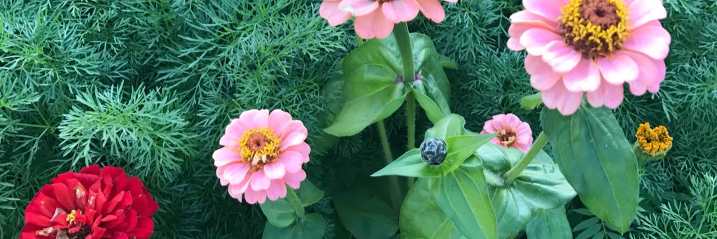 Diamonds & PerLeighs banner