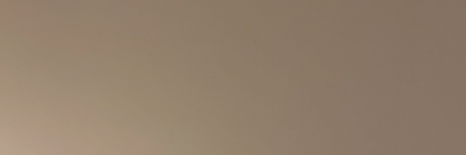 T la pire 🇵🇸 banner