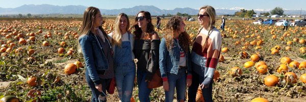 megan_scharf Profile Banner