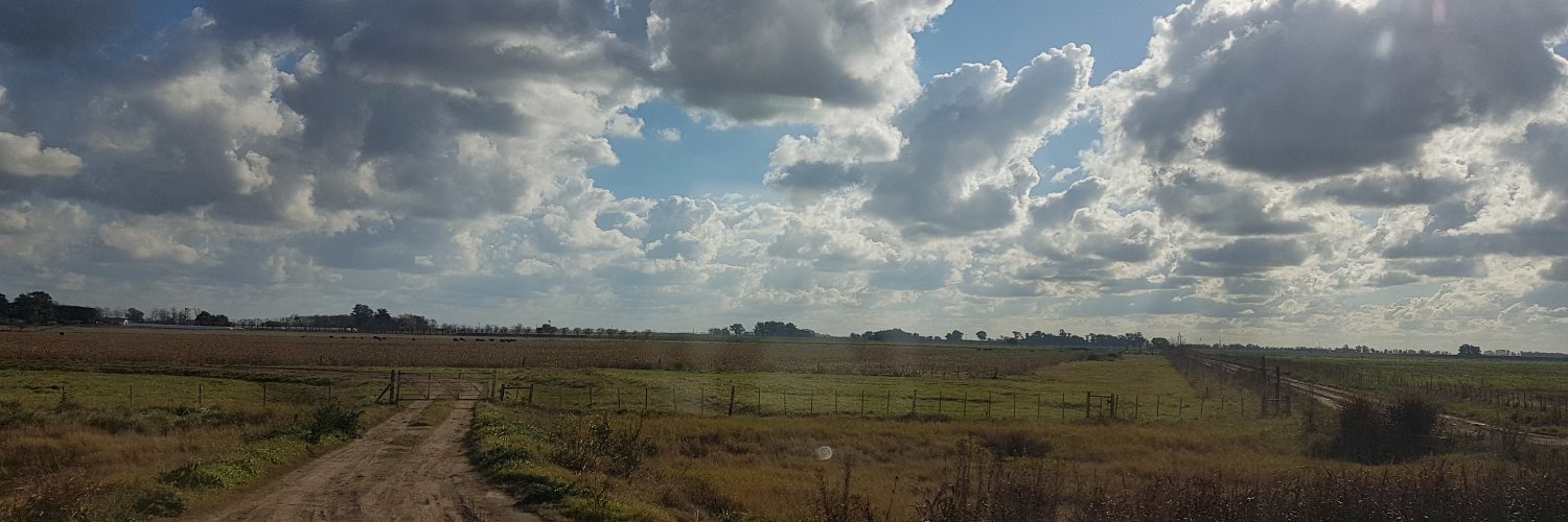 Alejandra de Arce banner