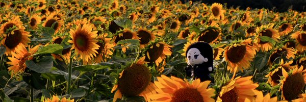 rat_nkmi Profile Banner