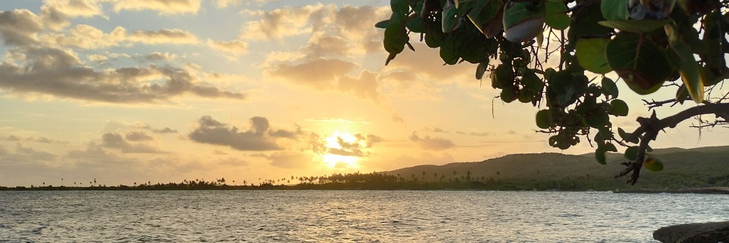 Rickyprx banner