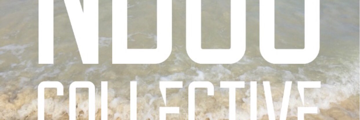 NDGO Collective banner