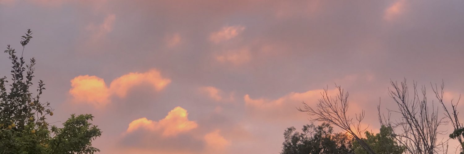 tiffaaanyn's profile banner image