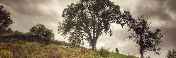 Nelson_Eddy Profile Banner