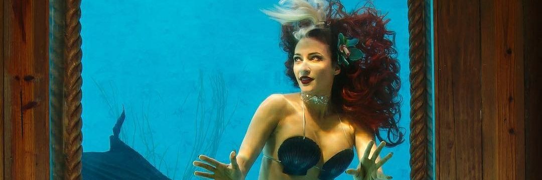 MeduSirena banner
