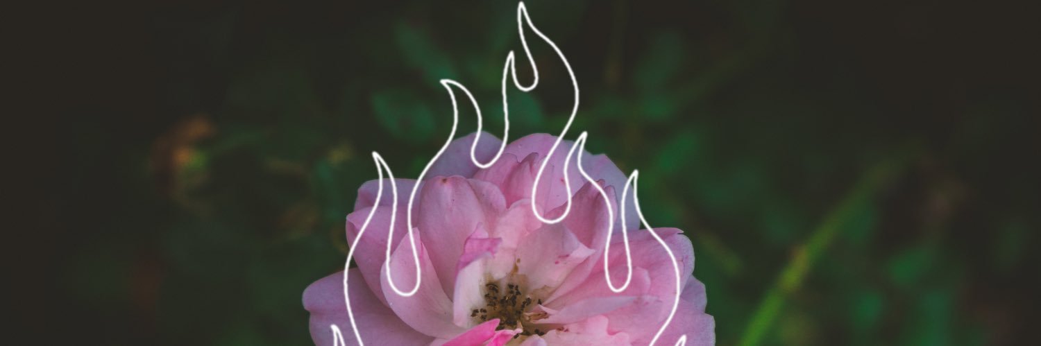 leppym's profile banner image