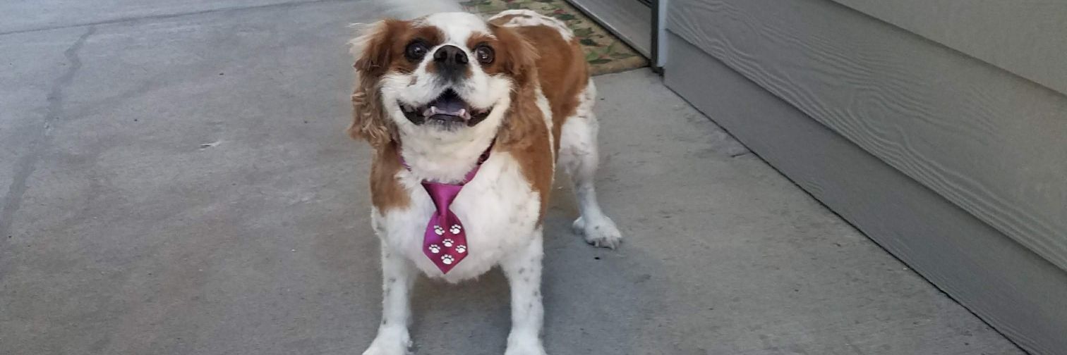 FiascoNarrator banner