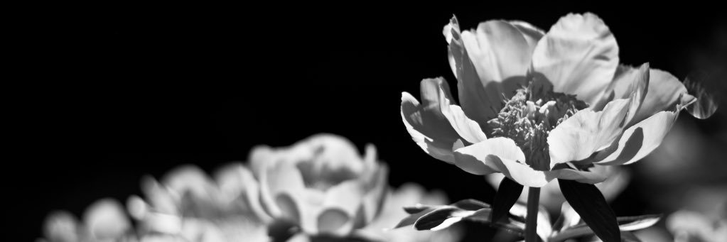 sabs0914's profile banner image