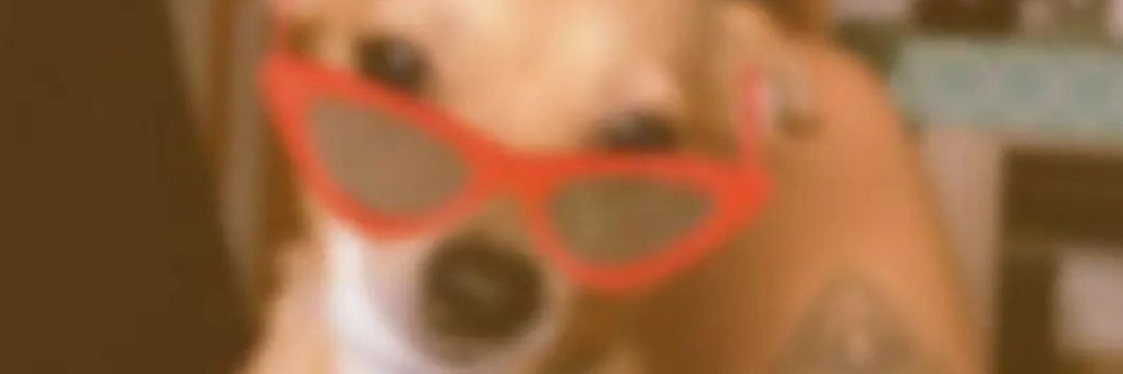 laauri96's profile banner image