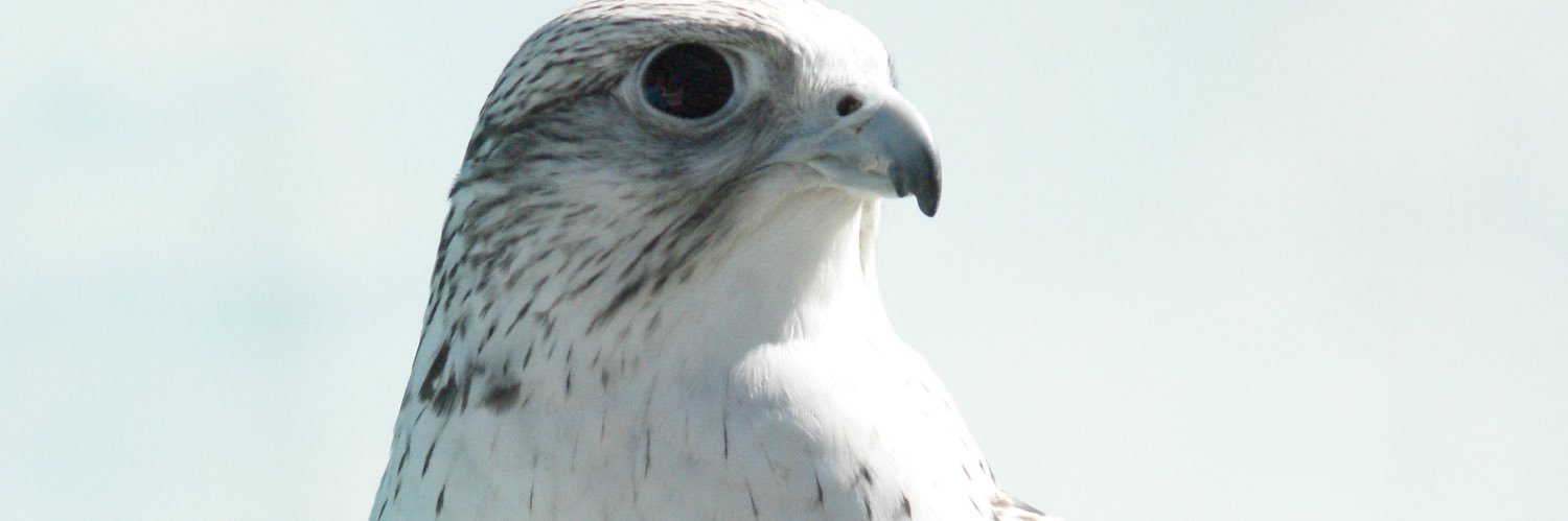 Zakmman's profile banner image