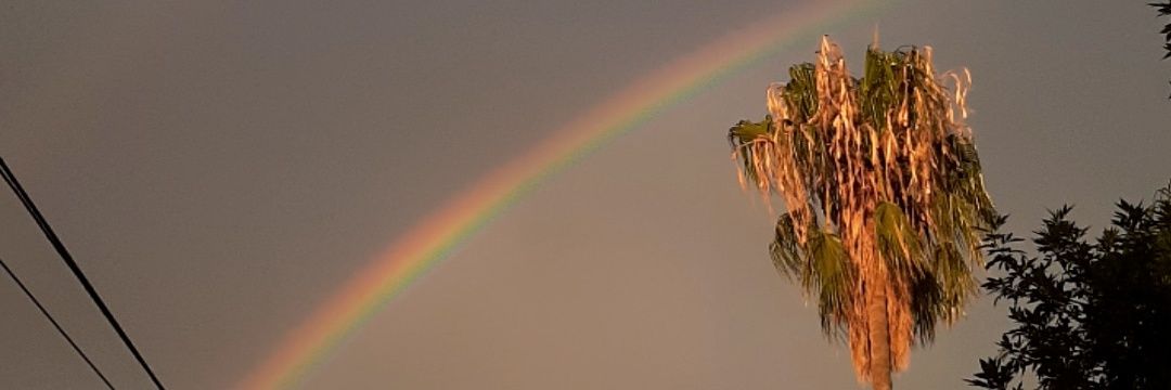 l4rpi's profile banner image